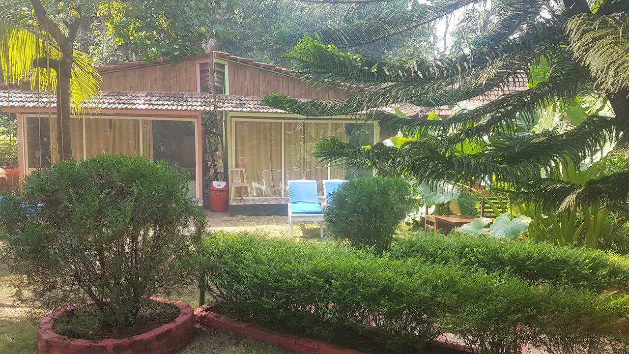 Curlies Zulu Land Hostel Анджуна Екстериор снимка