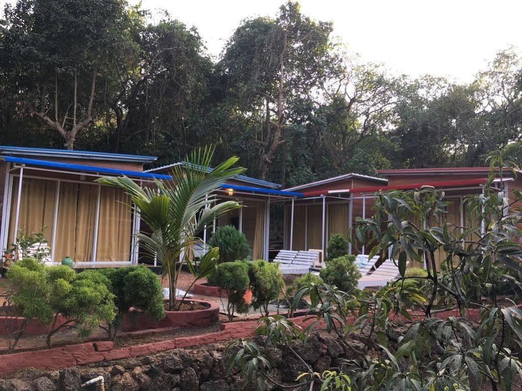 Curlies Zulu Land Hostel Анджуна Екстериор снимка