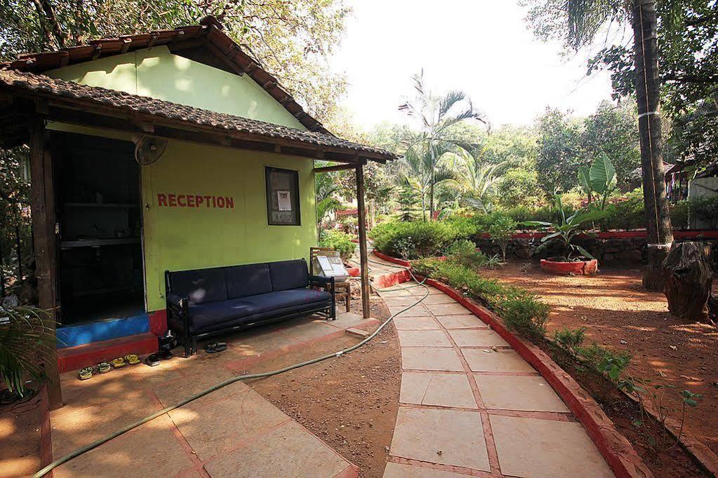 Curlies Zulu Land Hostel Анджуна Екстериор снимка