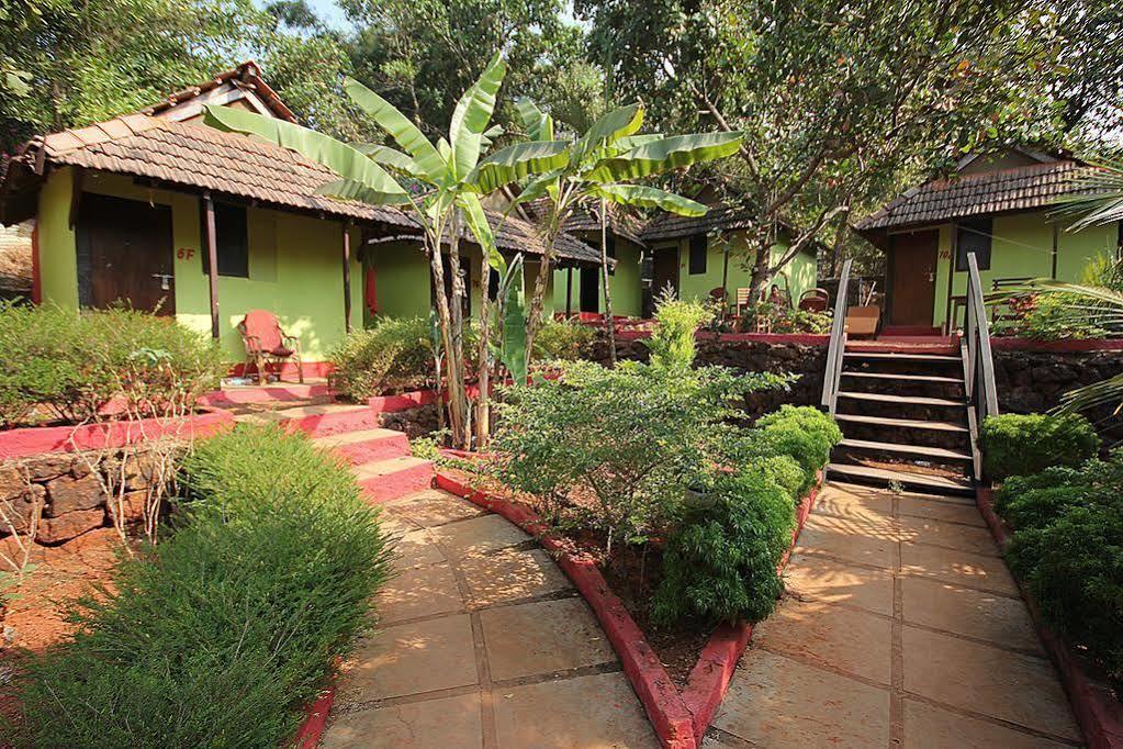 Curlies Zulu Land Hostel Анджуна Екстериор снимка